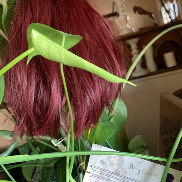 Bree wig by chic lifestyle in the color Merlot - Picture 3 of 7